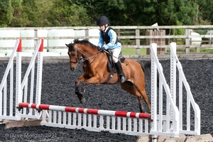 Class 1 - Fences 1'6 to 1'9